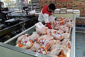 ۴ اقدام جدید برای ایجاد تعادل در قیمت مرغ