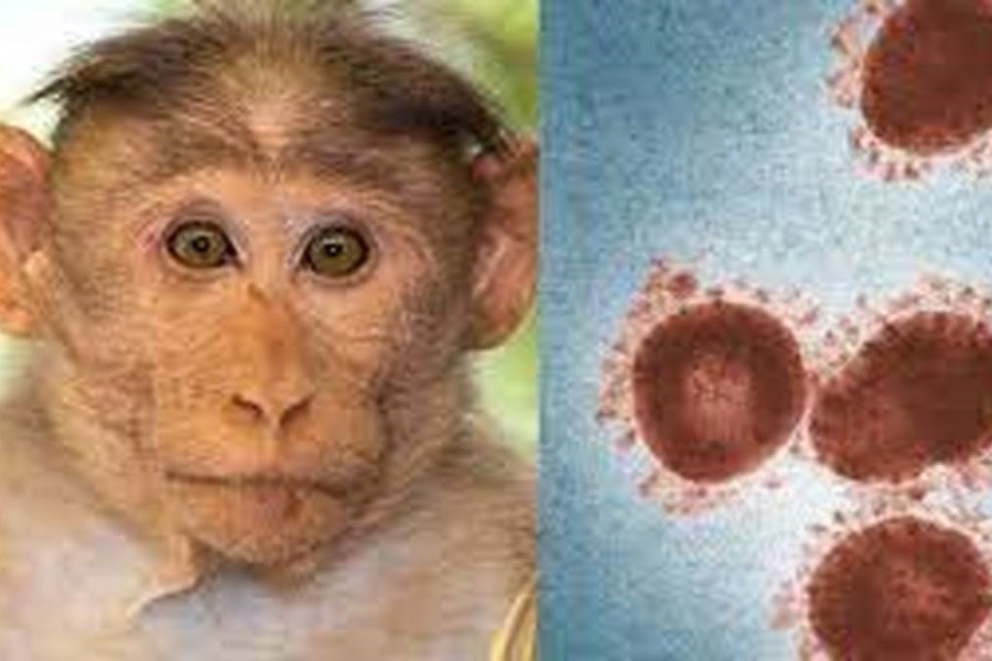 تصویر چین کیت آزمایش آبله میمونی را آماده می‌کند