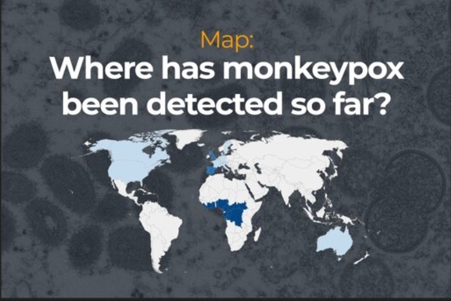 تصویر شیوع آبله میمون؛ کدام کشورها درگیر شده‌اند؟