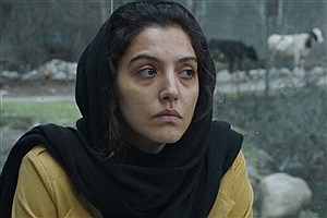 «زن، مرد، بچه» ایرانی در جشنواره کارلووی واری