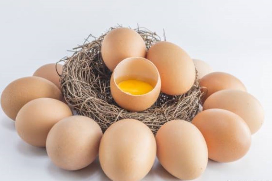 تصویر ۴ عارضه خطرناک مصرف تخم‌ مرغ