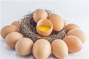 تصویر  قیمت هر شانه تخم مرغ به ۸۵ هزار تومان رسید