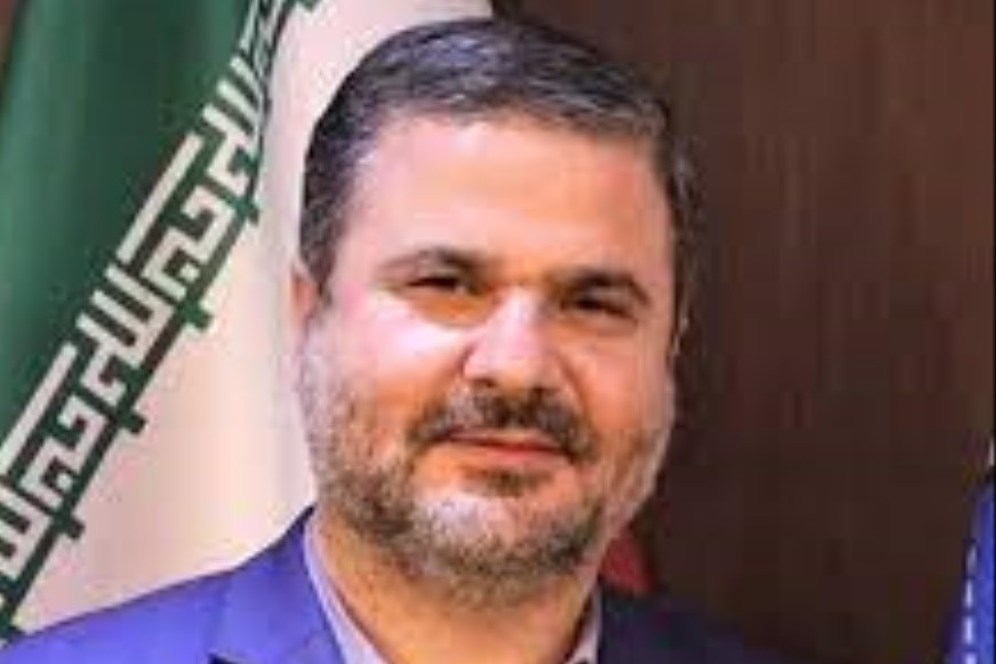 گفت‌وگوی مدیرعامل بیمه ایران با نمایندگان مجلس شورای اسلامی
