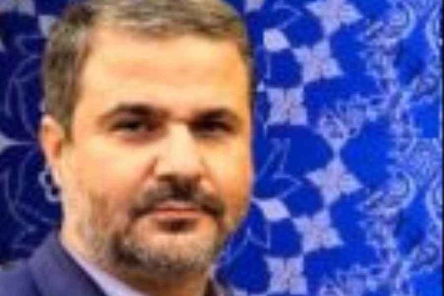 دیدار مدیر عامل بیمه ایران با بیمه گذاران بزرگ استان فارس