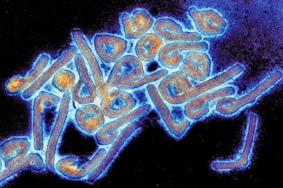 تصویر ویروس جدید و خطرناکی که جهان را تهدید می‌کند