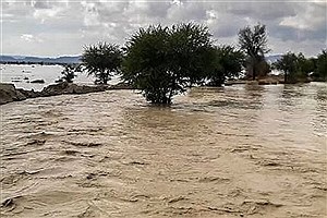 ۱۵ کشته و مفقودی در سیلاب فیروزکوه + جزییات