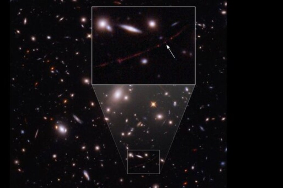 تصویر تصویر تلسکوپ &quot;جیمز وب&quot; از دورترین ستاره جهان