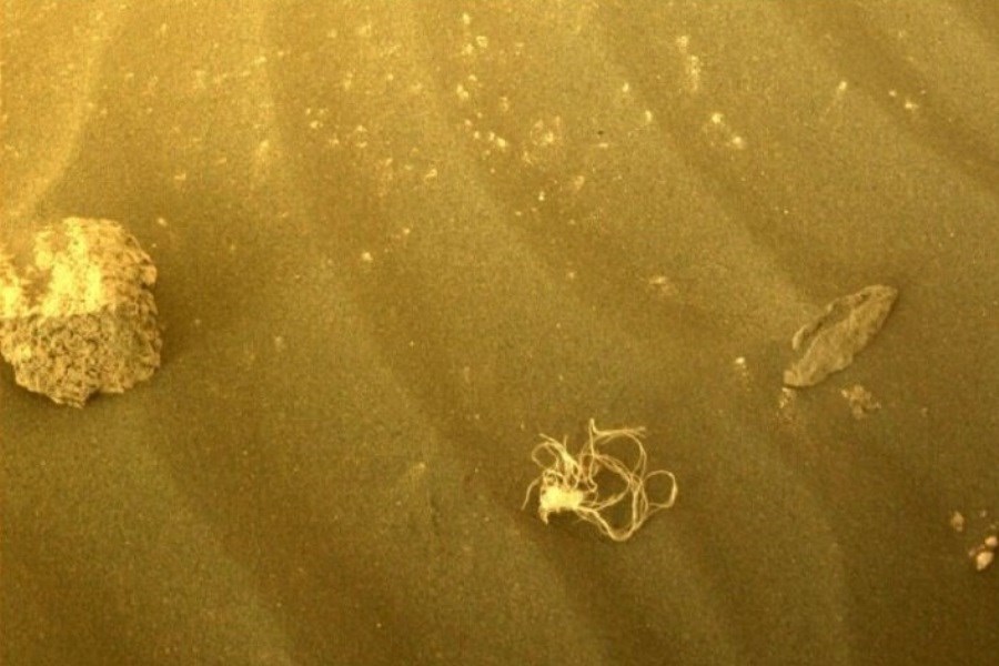تصویر راز اسپاگتی پیدا شده در مریخ برملا شد!