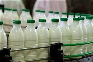 قیمت انواع شیر در بازار