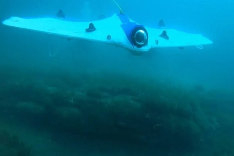 تصویر این ربات‌ها زیر دریا دنبال گنج اند