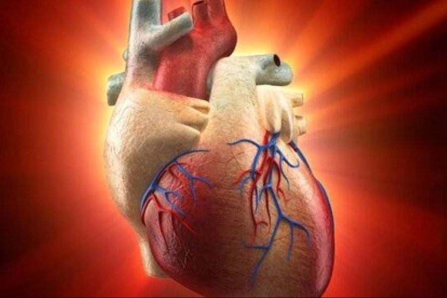 تصویر این ژن ترمیم کننده ی قلب است