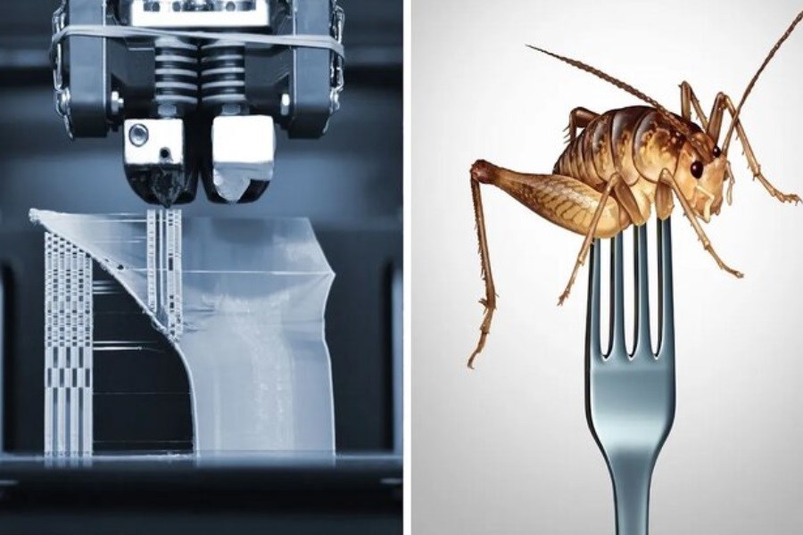 تصویر چاپ ۳ بعدی &quot;حشرات&quot; برای فرار از بحران غذایی