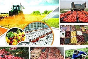 صادرات محصولات کشاورزی از مرز ۶ میلیارد دلار گذشت
