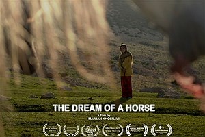 راه‌یابی مستند «رویای یک اسب» به پنج جشنواره جهانی