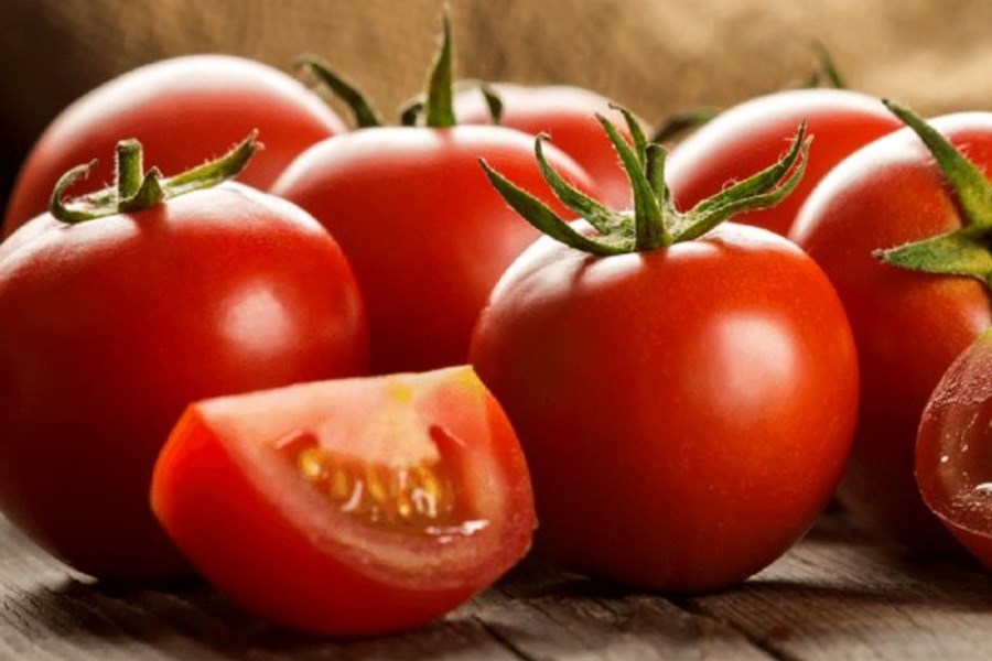 علت افزایش قیمت گوجه فرنگی در روزهای اخیر اعلام شد