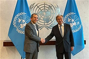 پایان کار دیپلمات نام آشنا در سازمان ملل