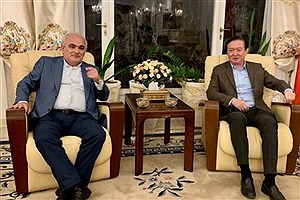 دیدار برجامی سفرای روسیه و چین در ایران