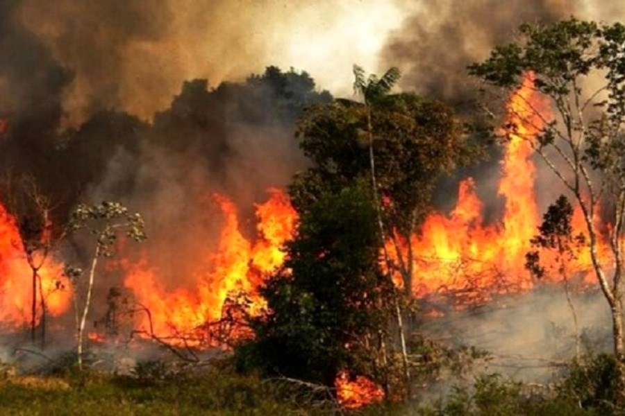 آتش سوزی بزرگ در منطقه جنگلی در خداآفرین