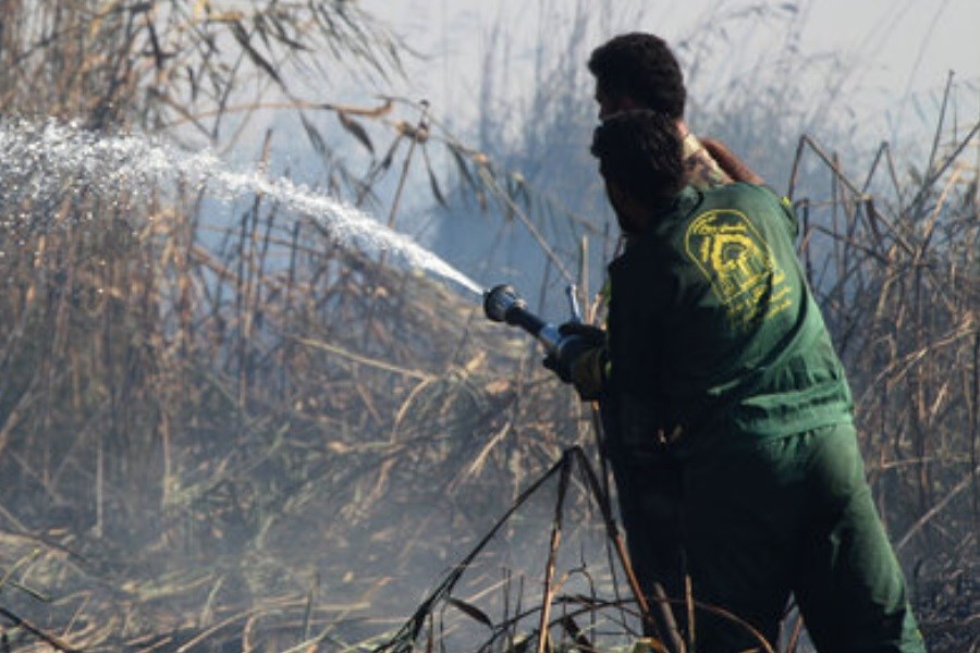 آتش سوزی در عرصه های منابع طبیعی گرگان اطفا شد