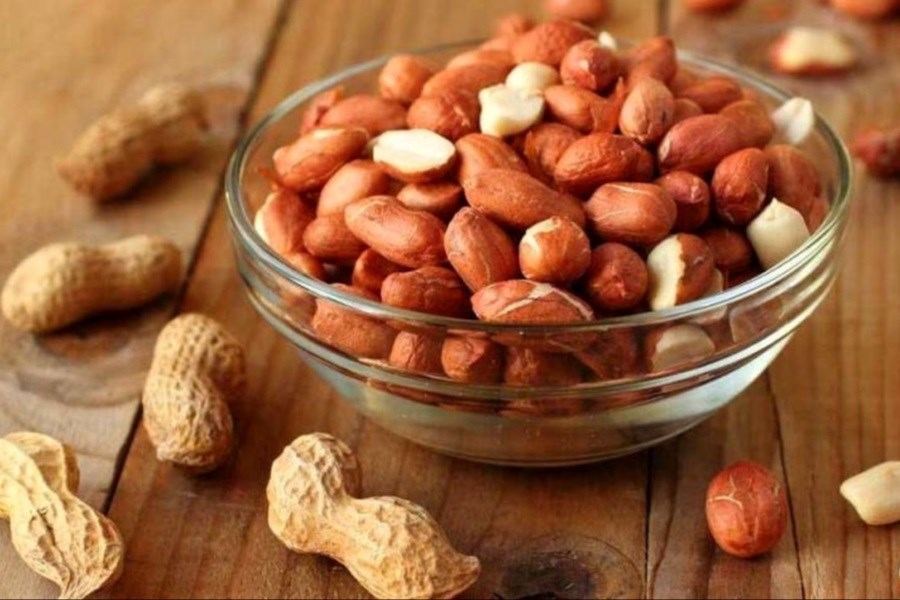 راز طولانی‌تر شدن سلول‌ها و کاهش پیری چیست ؟