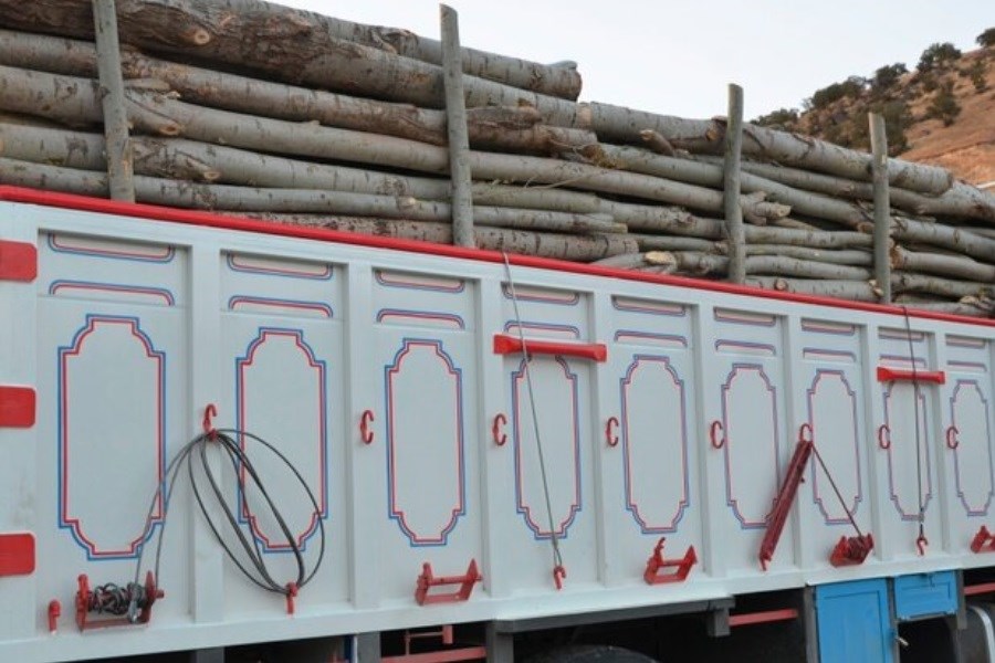 تصویر خودروهای حمل‌کننده چوب بدون مجوز توقیف می‌شوند