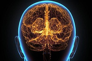 مغز انسان امروزی و نئاندرتال‌ها چه تفاوتی دارد؟