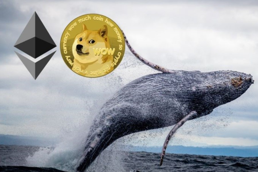 تصویر در شرایط فعلی بازار، نهنگ‌ها کدام رمزارزها را می‌خرند؟