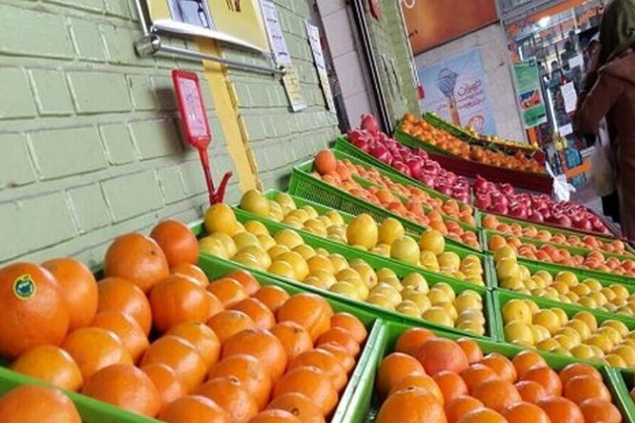 تصویر جدیدترین قیمت پرتقال و نارنگی در بازار