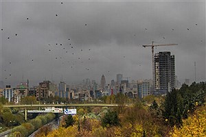 باران‌های تهران اسیدی است&#47; دلخوش به کاهش آلودگی هوا نباشیم