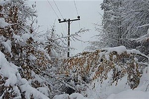 قطعی برق ۲ نقطه روستایی در شهرستان ملایر به دلیل ریزش برف