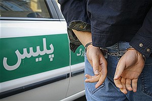 دستگیری ۲۲۹ مالخر در زنجان