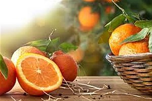 این 15 ماده غذایی از پرتقال بیشتر ویتامین C دارند