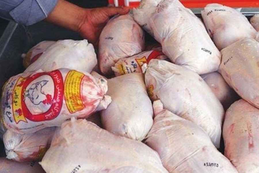 عرضه مرغ با قیمت ۴۹ هزار و ۵۰۰ تومان!