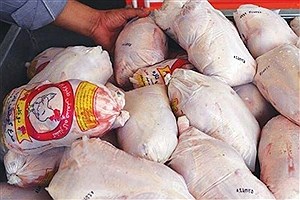 قیمت مرغ در میادین تره بار چند؟