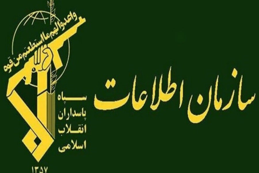 بازداشت اعضای یک تیم شعارنویسی در بوشهر