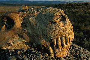 کشف دلیل اصلی بزرگترین انقراض تاریخ زمین