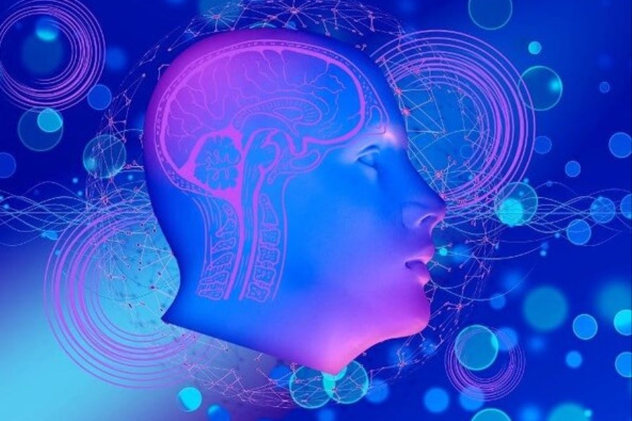 تشخیص علائم اولیه آلزایمر با استفاده از هوش مصنوعی