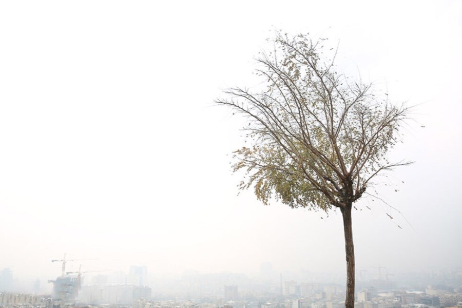 تصویر همه تهران در آلودگی محض