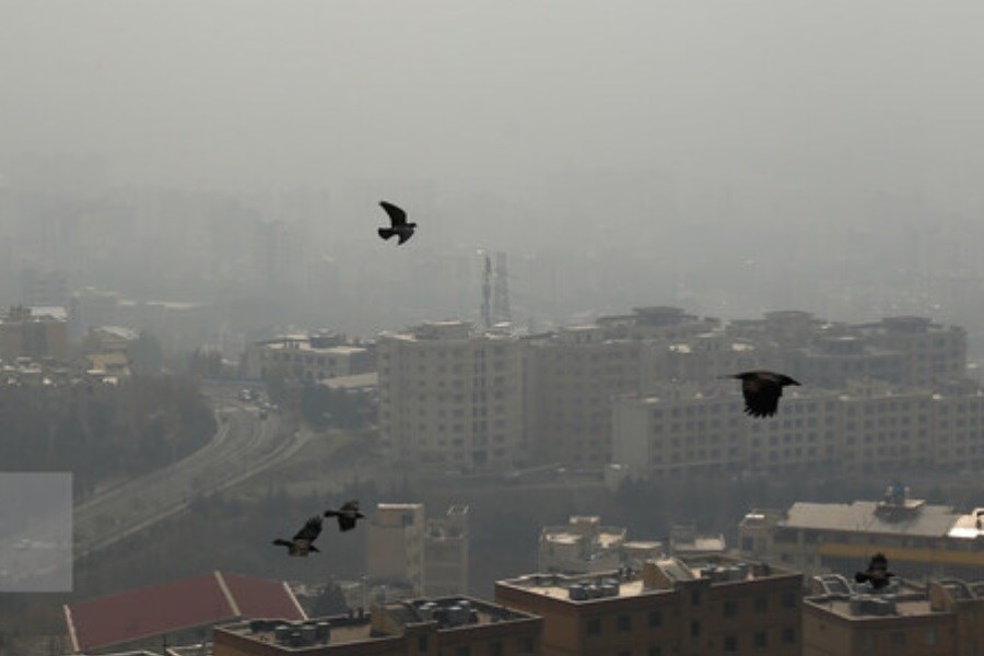 تداوم آلودگی هوا در تهران&#47; هوا برای تمام شهروندان ناسالم شد