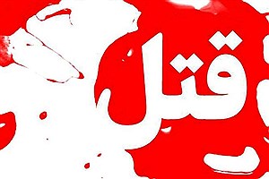 قتل خونین مرد جوان برای جای پارک در تهران