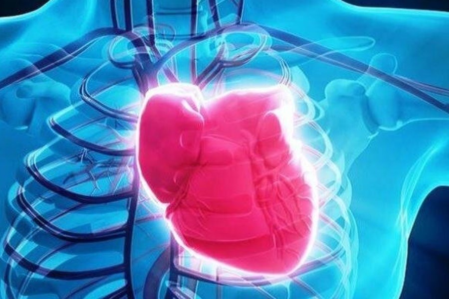 احتمال خطر نارسایی قلبی در این افراد بیشتر است!