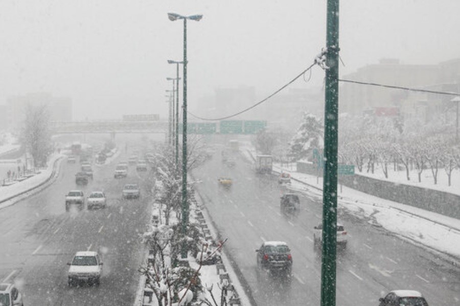 تصویر بارش برف بهاری در شمال تهران؛ پایتخت سفیدپوش شد+ تصاویر