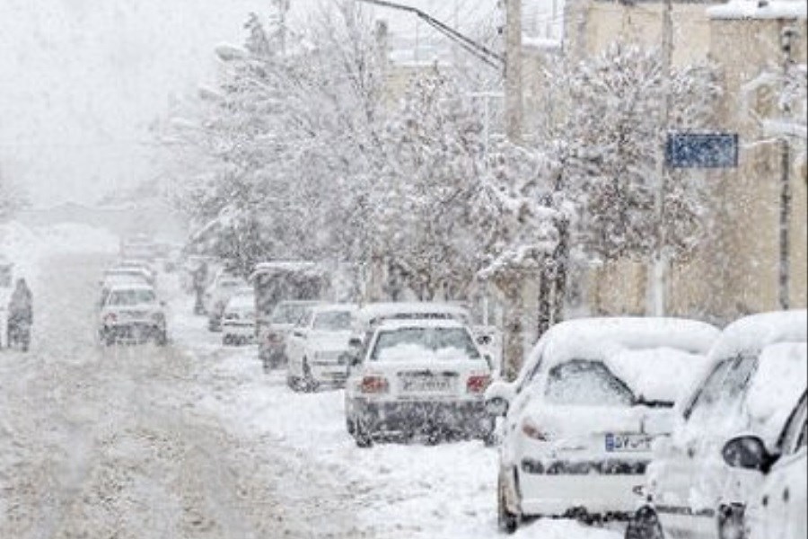 بارش برف و باران از بامداد امروز در کردستان