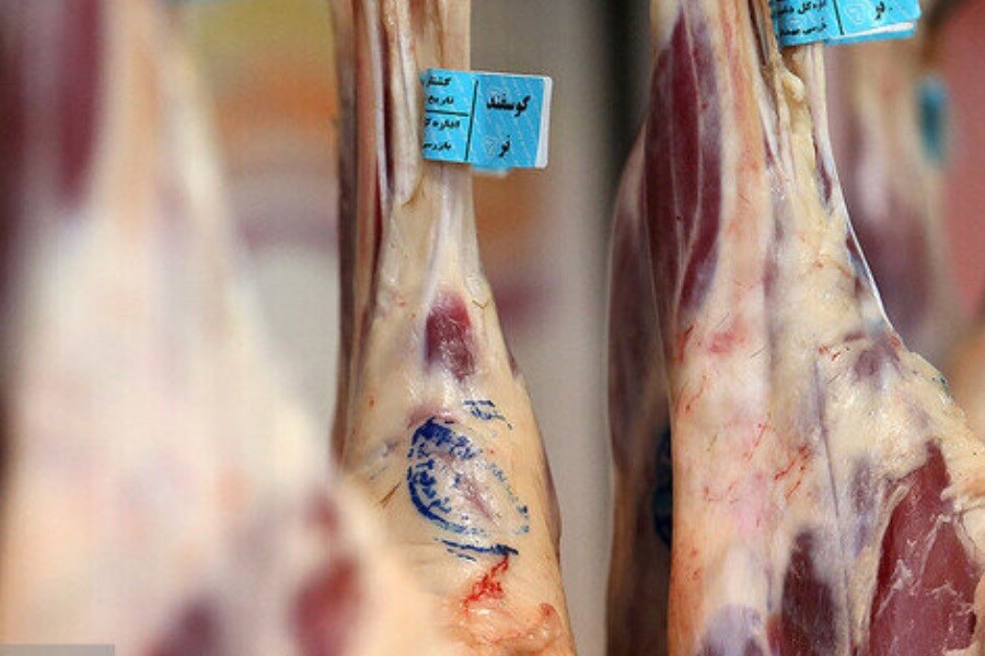 تصویر با حقوق 8 میلیون تومانی نمی‌توان گوشت خرید!