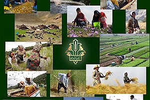 حمایت 36 هزار میلیارد ریالی بانک کشاورزی از اشتغال مددجویان کمیته امداد و بهزیستی