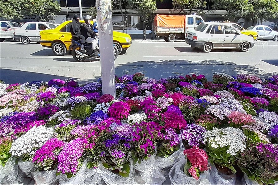 تصویر حال و هوای خیابان های ساری در آستانه نوروز