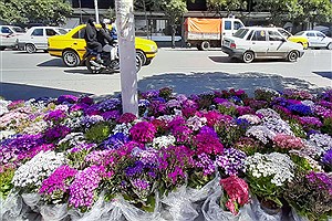 حال و هوای خیابان های ساری در آستانه نوروز
