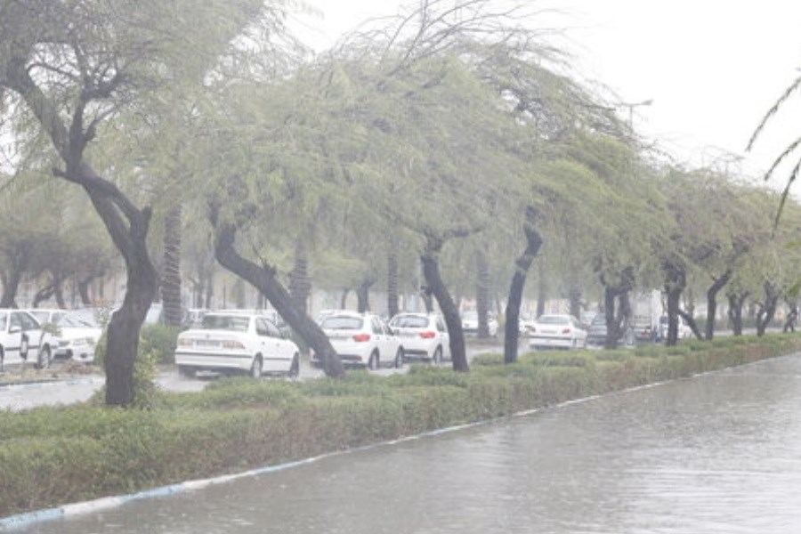 بارش باران و کاهش دمای هوا در برخی از استان ها