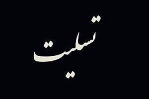 پیام‌ تسلیت چهره های سیاسی برای درگذشت برادر میرحسین موسوی