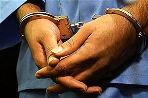 بازداشت دزدان حرفه ای در امین آباد